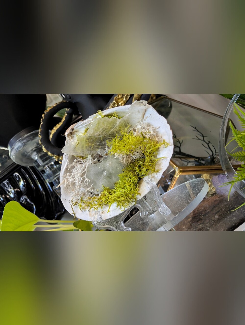 Amethyst, Selenite, Prasiolite, Crystals in Seashell (stand Included)